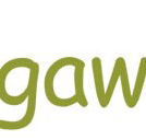 Bungawitta Child Care Centre - Brisbane Child Care