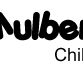 Mulberry Tree Childcare Mount Hawthorn Barnes St - Brisbane Child Care