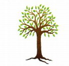 Kadina Child Care Centre - Brisbane Child Care