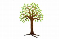 Kadina Child Care Centre - Brisbane Child Care 0