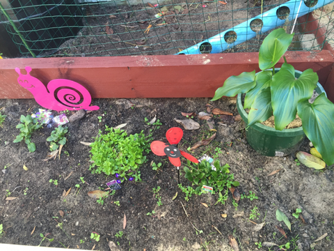 TLC Early Learning Centre - Brisbane Child Care 4