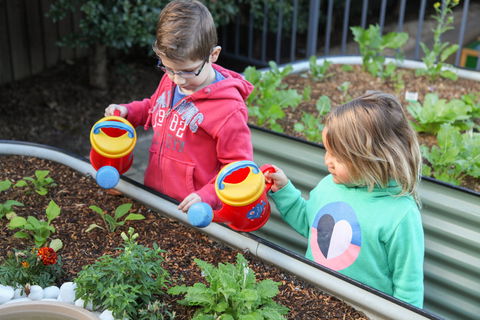 Sylvania Waters Early Education - Brisbane Child Care 1