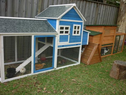 Active Littlies Child Care Centre - Brisbane Child Care 3