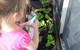 Hopscotch Boambee Childcare/Preschool - thumb 9