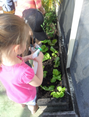 Hopscotch Boambee Childcare/Preschool - Brisbane Child Care 9