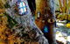 3 Bears Cottage - thumb 12