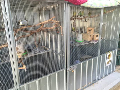 TLC Early Learning Centre - Brisbane Child Care 6