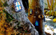 3 Bears Cottage - thumb 7