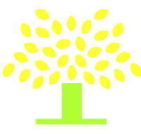 Conyngham Street Community Childcare Centre - Brisbane Child Care