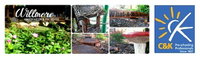 Willmore Kindergarten  Preschool